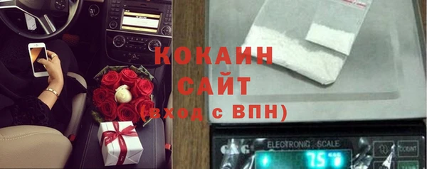 таблы Новозыбков