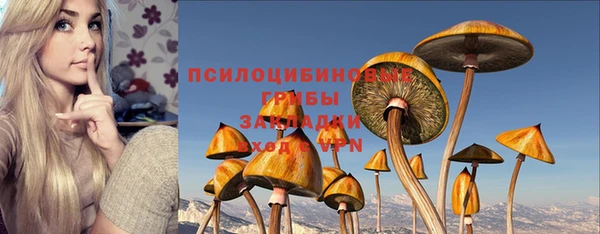 таблы Новозыбков