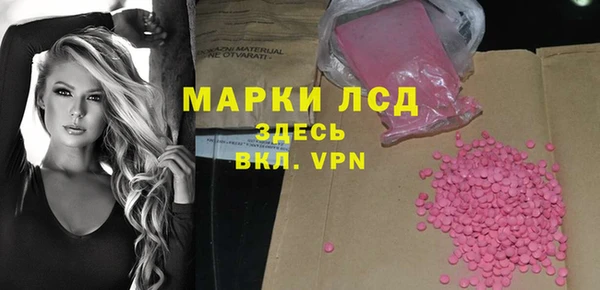 таблы Новозыбков