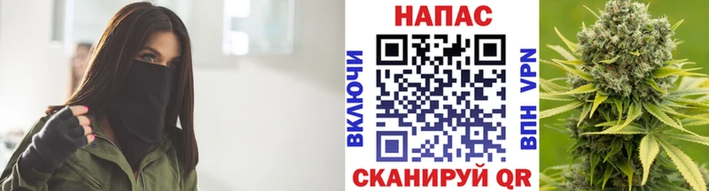 Купить закладки  Астрахань  Конопля сатива 